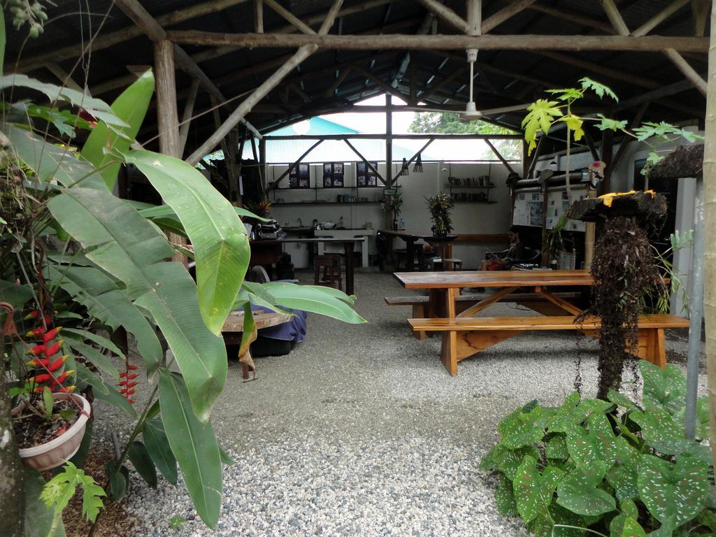 Cabinas Tropicales Puerto Jiménez Eksteriør bilde