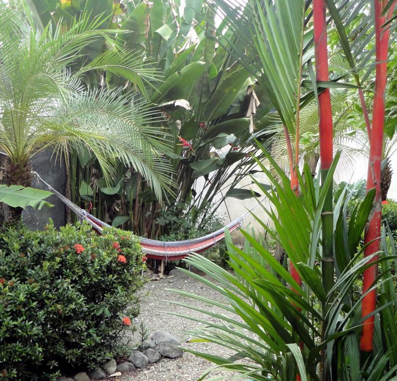 Cabinas Tropicales Puerto Jiménez Eksteriør bilde