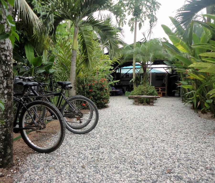Cabinas Tropicales Puerto Jiménez Eksteriør bilde