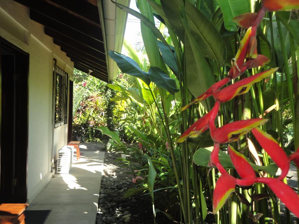 Cabinas Tropicales Puerto Jiménez Rom bilde