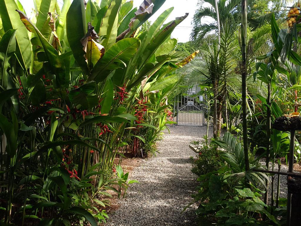 Cabinas Tropicales Puerto Jiménez Eksteriør bilde