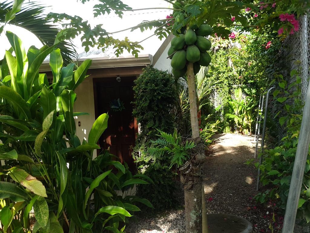 Cabinas Tropicales Puerto Jiménez Eksteriør bilde