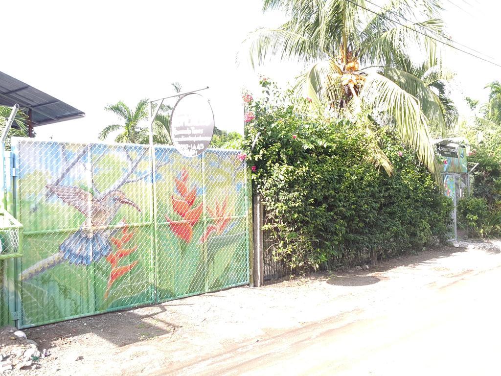 Cabinas Tropicales Puerto Jiménez Eksteriør bilde