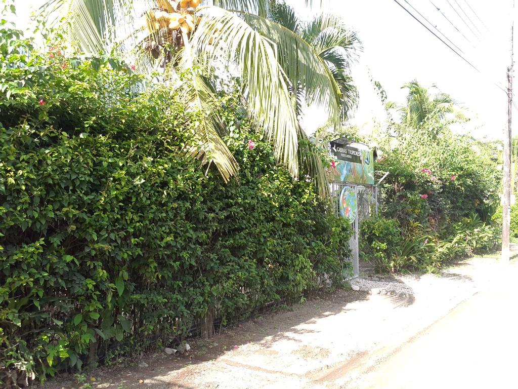 Cabinas Tropicales Puerto Jiménez Eksteriør bilde